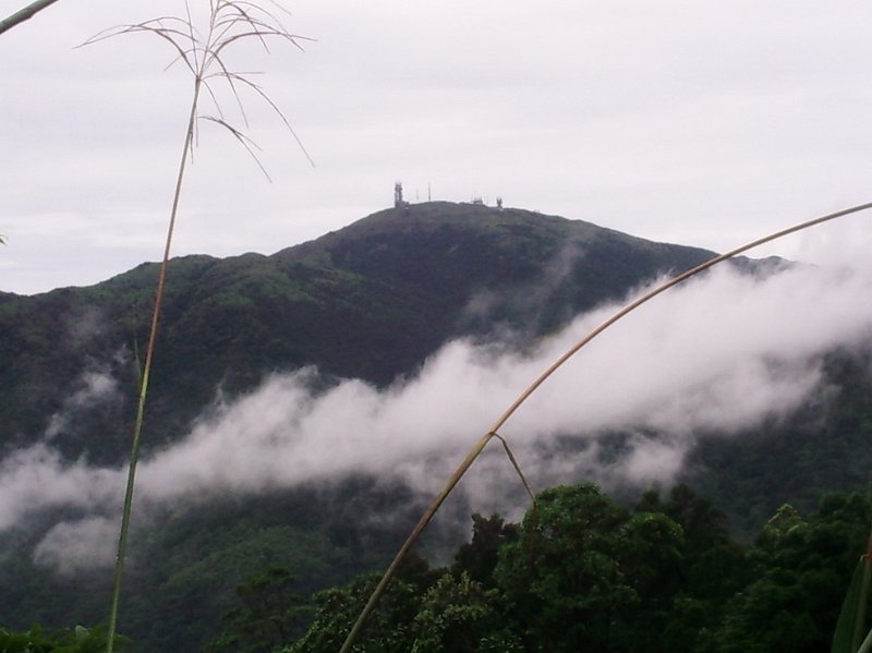 PIC_0037.JPG - 雲海中的大霧山