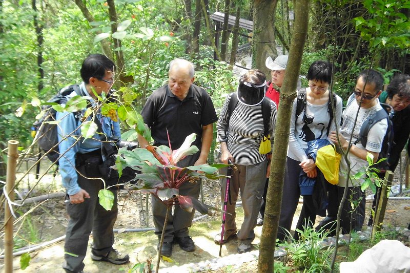 IMG_0194.JPG - 大家受到草藥種植場負責人陳尚權先生的殷勤接待及品嚐山水名茶。