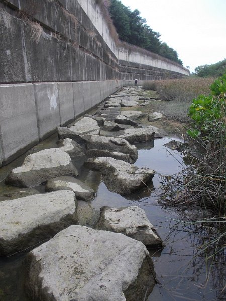 DSCN8427.JPG - 沿迪欣湖邊覓路登山          