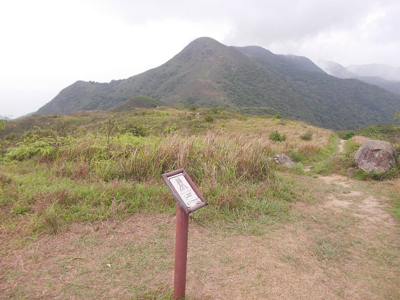 040.JPG -           前方為薑山，靈會山在其背後。