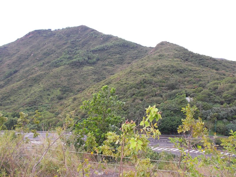 DSCN3383.JPG - 大山