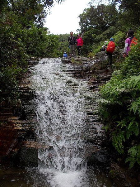 DSCN7174.JPG - 頁岩飛絮          