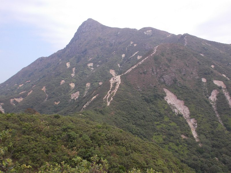 DSCN9454.JPG - 很多山坡塌方