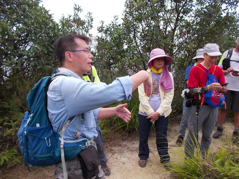 DSCN2110.JPG - 資深行山家陳鍚恩先生講解在吊燈籠山脊上的一個風水穴(笑天龍穴)