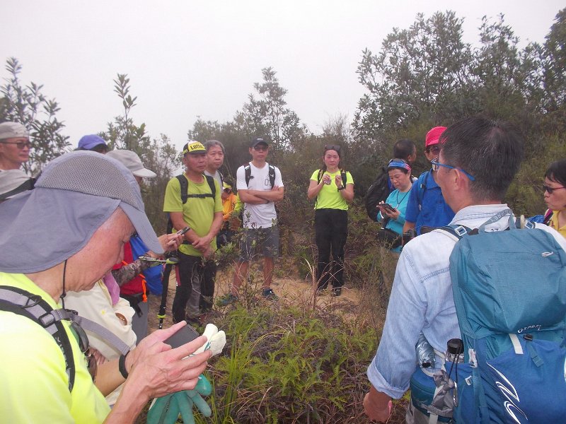 DSCN2112.JPG - 資深行山家陳鍚恩先生講解在吊燈籠山脊上的一個風水穴(笑天龍穴)